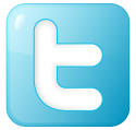 Twitter external data provider icon