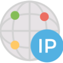What is my public server IP icon