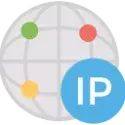 What is my public server IP icon